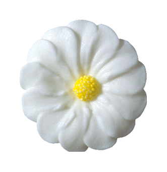V20244 Daisies white