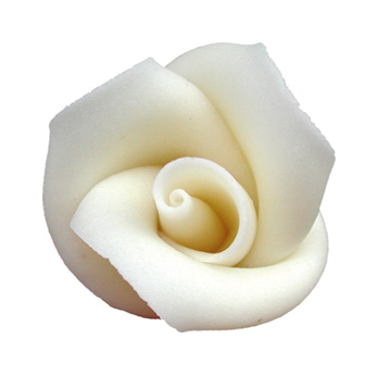 V30424 Rose medium white