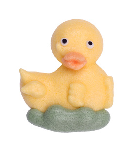 20215_2 Ducklings