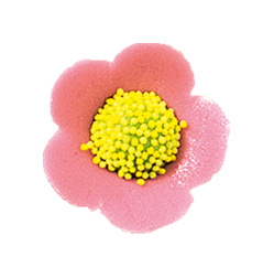 V30172 Anemones small pink