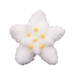 V20228 Edelweiss sugared