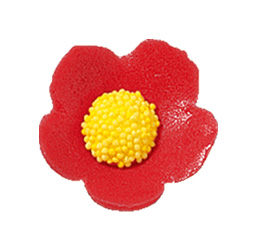 V30171 Anemones small red