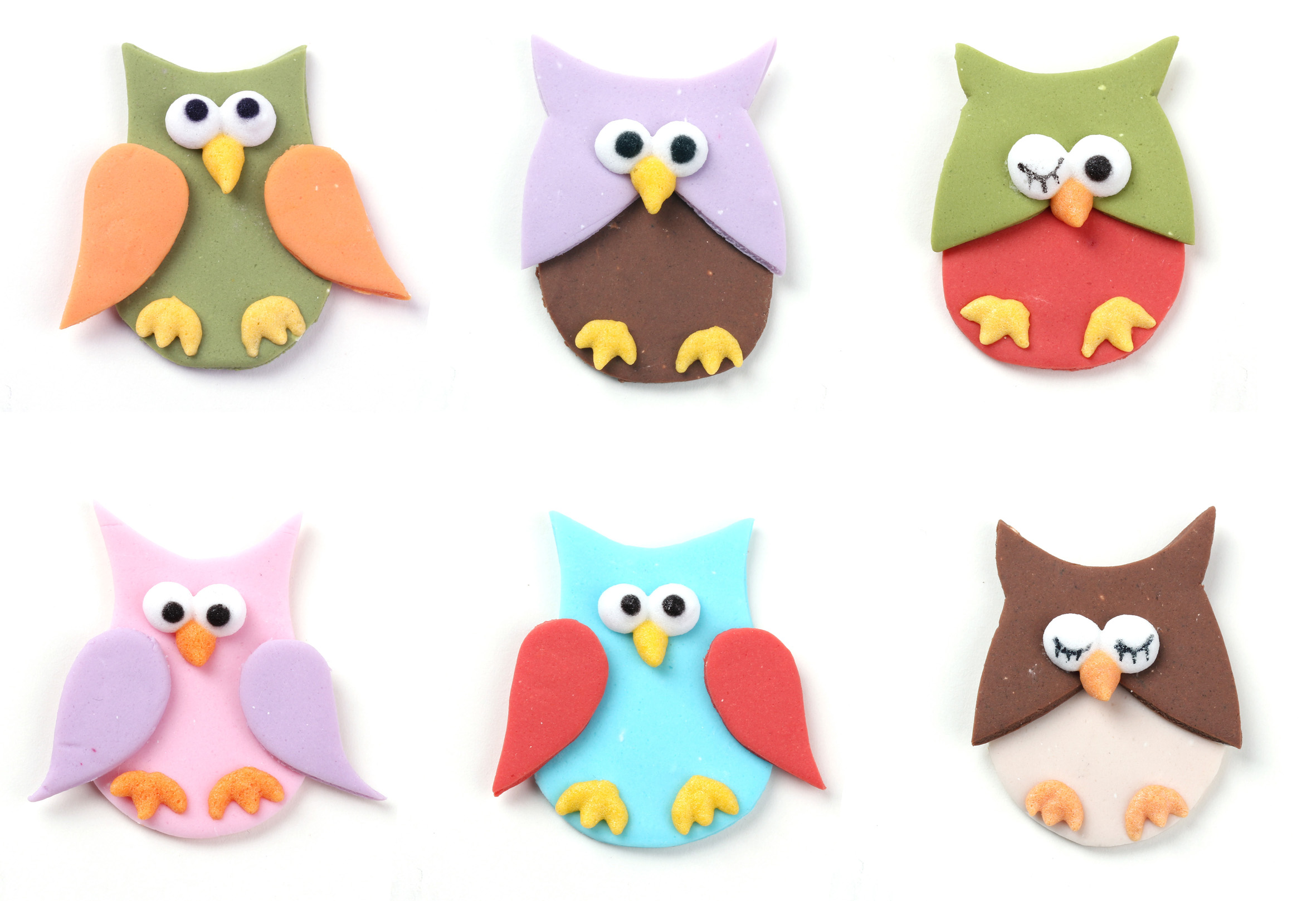 V12968 Colourful owls