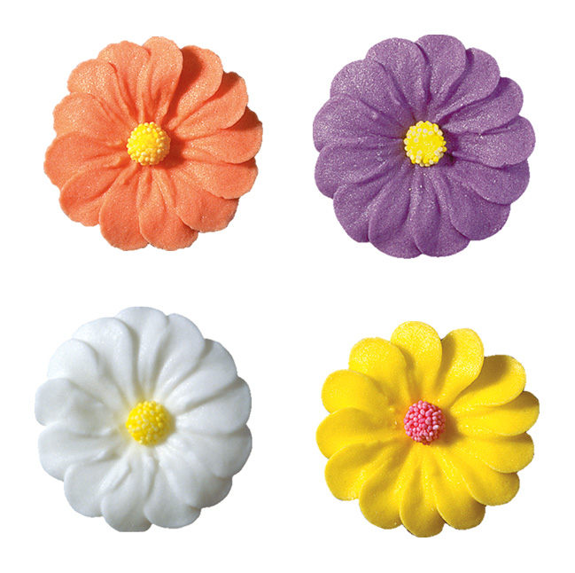 V20240 Daisies colourful