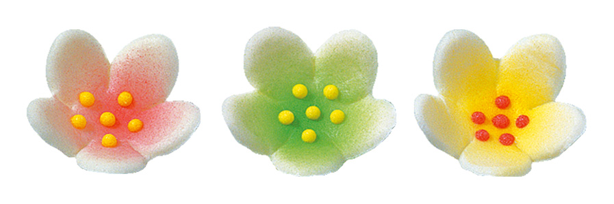 V30250 Christmas roses