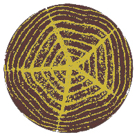 V42151 Branch cut round dark