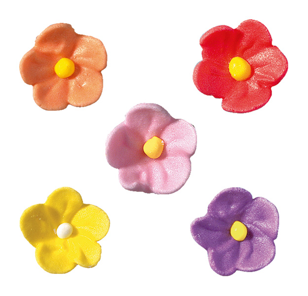 V20230 Colourful anemones