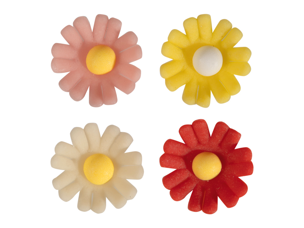 V30160 Daisies series