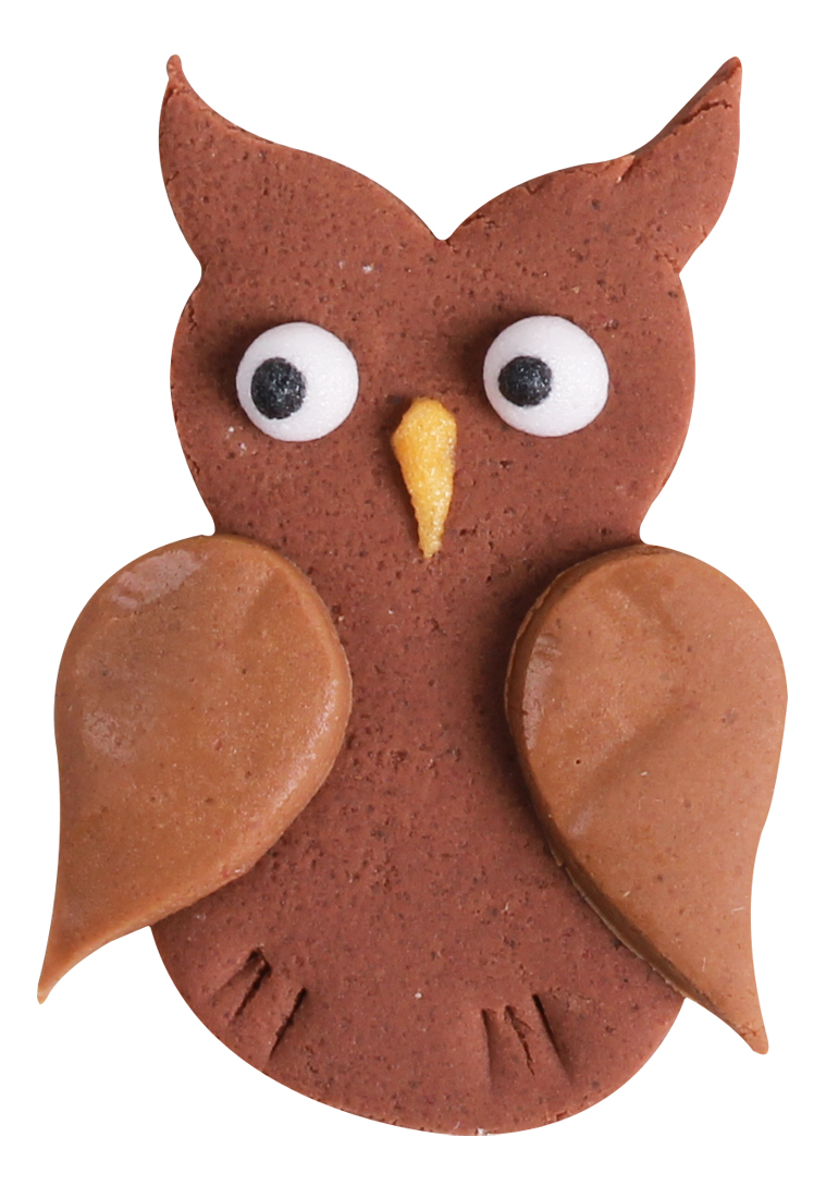 12706_3 Owls brown