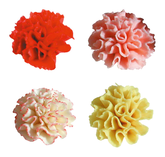 V30220 Carnation series