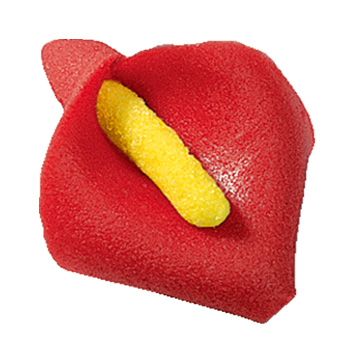 V30231 Calla red