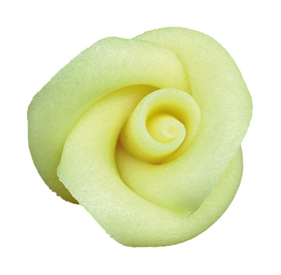 V30433 Rose large yellow
