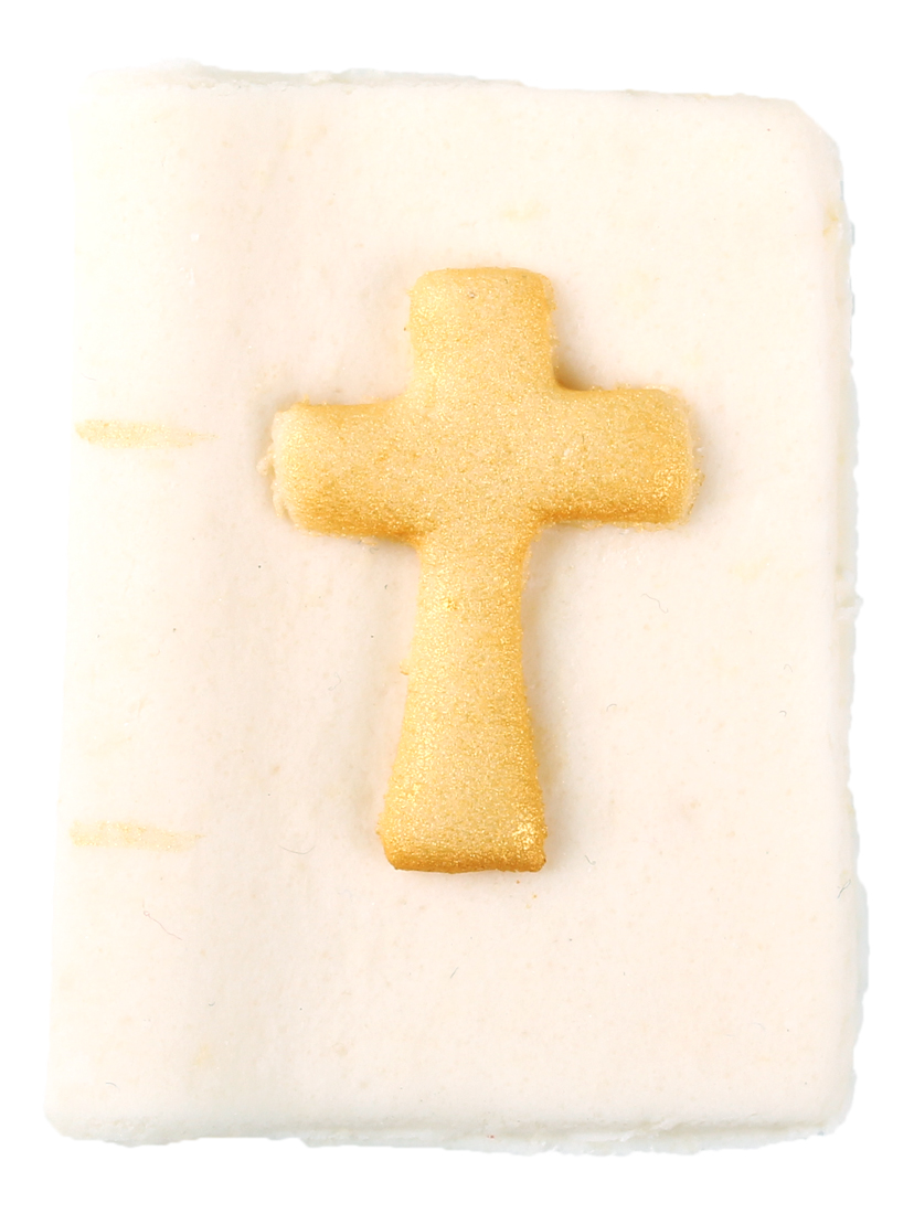16135_5 Communion girl