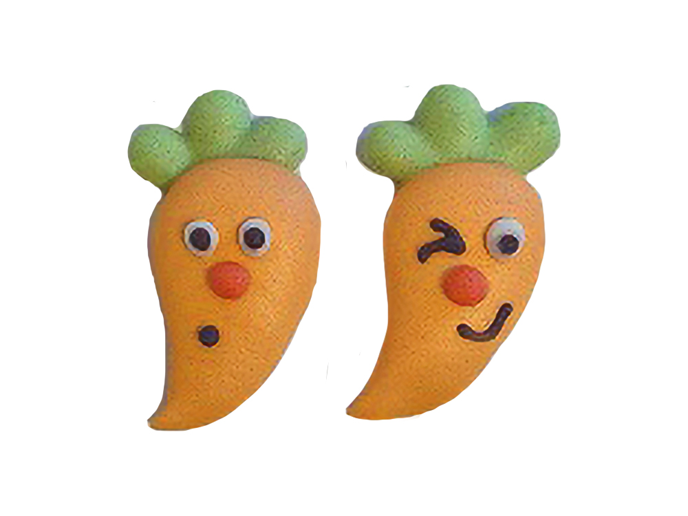 V20022.1 Carrot face vegan