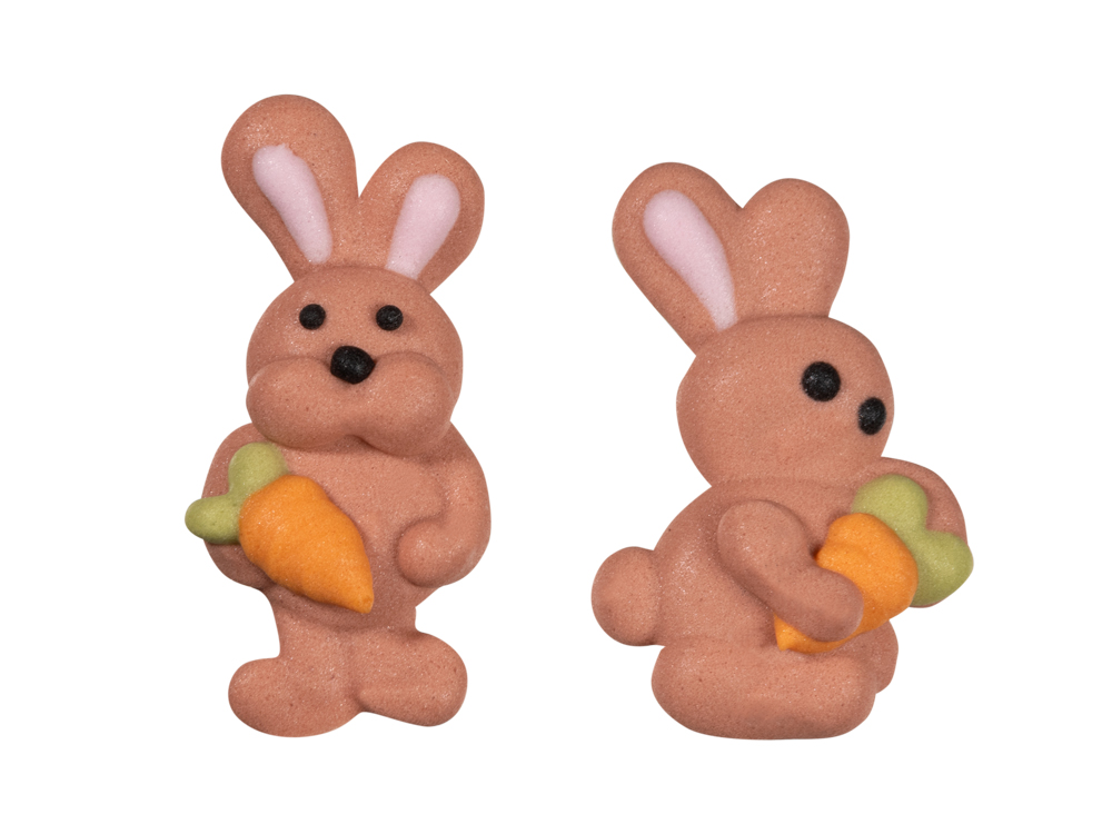 V20436 Bunny with carrot