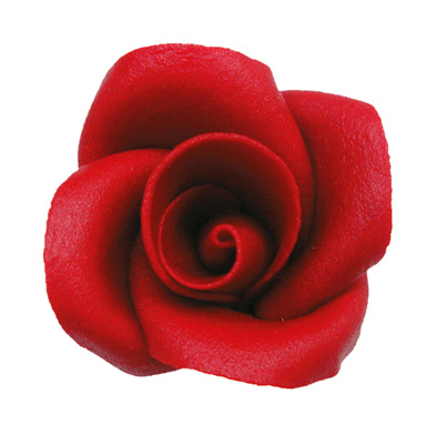 V30437 Rose dark red large
