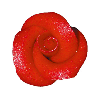 V30481 Glossy rose red