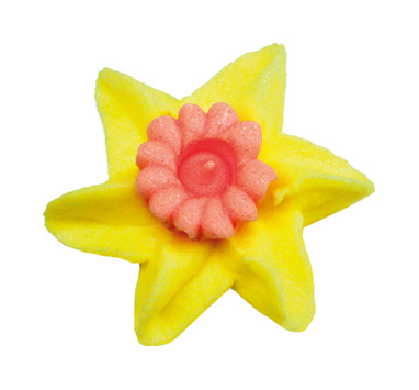 V20218 Daffodils