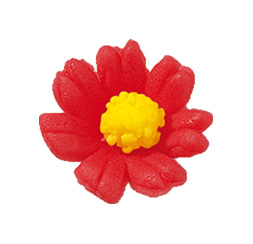 V30161 Daisy red
