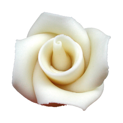 V30434 Rose large white