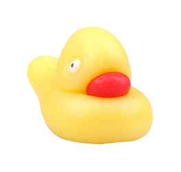 V30315 Duckling