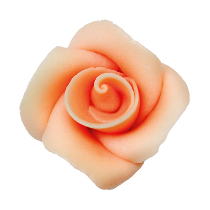V30436 Rose large salmon
