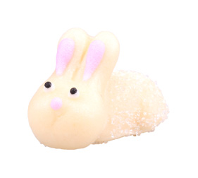 30313_2 Bunny lying down