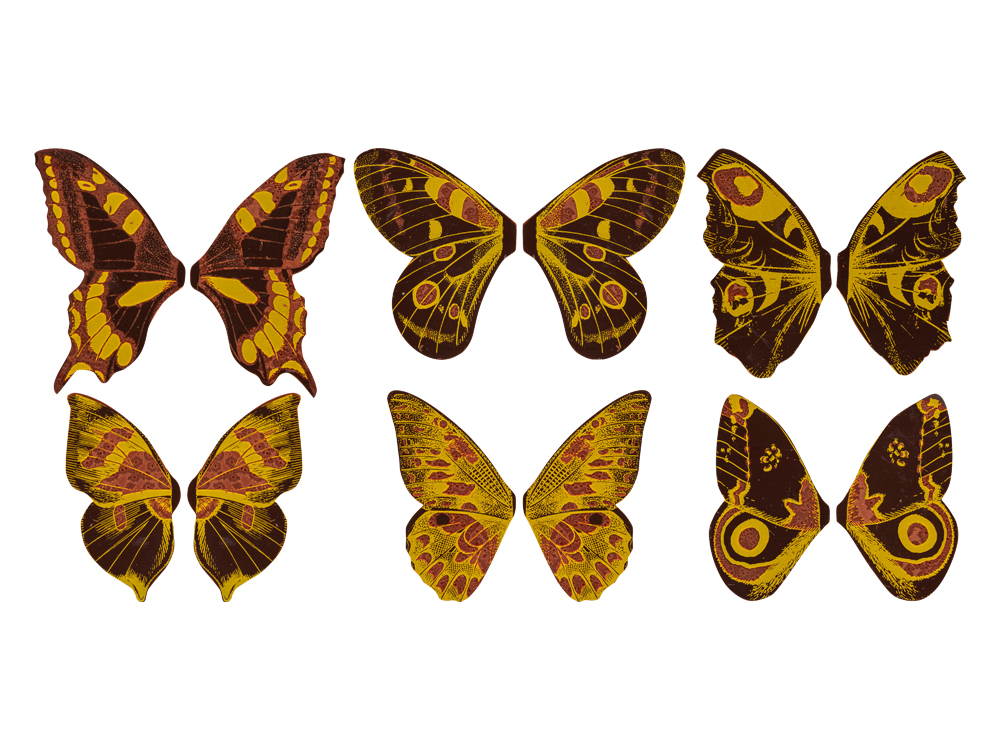 V48975 Butterflies